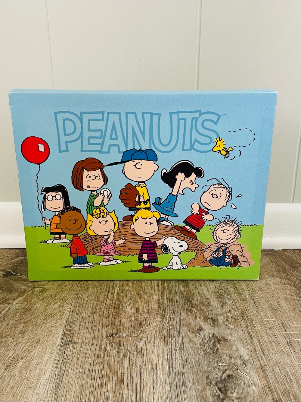 Peanuts Canvas Art - Light Blue, Green & Red Accents